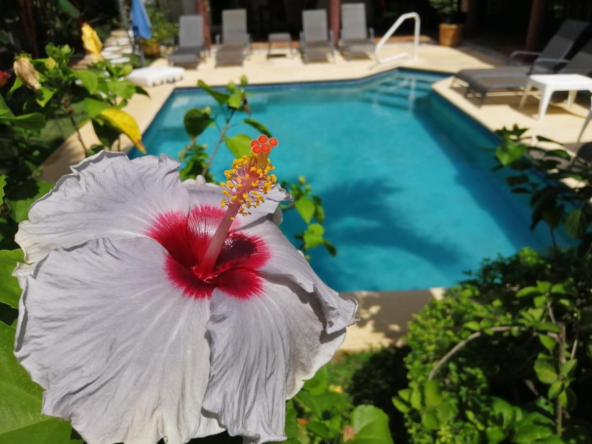 Botero By Casa Mojito 3* Santa Clara (Cocle)
